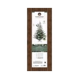 ZASNEŽENA NOVOLETNA JELKA IZ UMETNE MASE, VIŠINE 180 CM