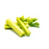 KORENOVKE L'ORTO FRUTTIFERO ZELENA BELA 4/1 DAYBREAK F1 KULTIPAK