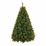 NOVOLETNA JELKA 200 CM HIGHLAND FIR