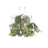 ZELENA RASTLINA BRŠLJAN MIX OBEŠANKA