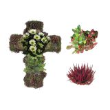 ZELENA RASTLINA RASTLINA V LESU KRIŽ