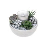 ZELENA RASTLINA SUKULENTE V SREBRNEM NASADU NOVO LETO