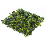 ZELENA STENA INTER CERAMIC COIMBRA 50X50 CM POLIETILEN ZELENA