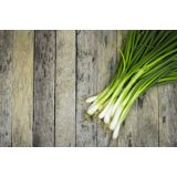 ZELENJAVNA SADIKA ČEBULA STOLETNA 9 KOS