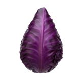 KAPUSNICE L'ORTO FRUTTIFERO ZELJE 4/1 RED HEAT F1 KULTIPAK