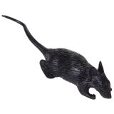 VSE ZA NOČ ČAROVNIC KOOPMAN ŽIVALI 6/1 SORT