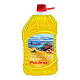 PAULINA HORIZONT LETNA TEKOČINA ZA VETROBRANSKO STEKLO 3L LIMONA