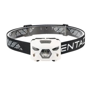BATERIJSKA SVETILKA ENTAC 5W, S SENZORJEM, BELA