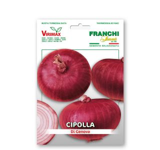 ČEBULNICA FRANCHI SEMENTI ČEBULA GENOVSKA ČEBULNICA FRANCHI SEMENTI ČEBULA GENOVSKA