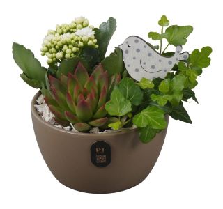 ARANŽMA PTIB5159 V OKRAS. LON. L14 CM ARANŽMA PTIB5159 V OKRAS. LON. L14 CM