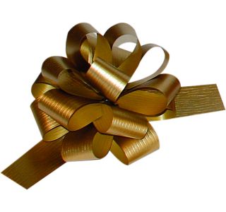 DARILNA PENTLJA POT NA POTEG 31 MM