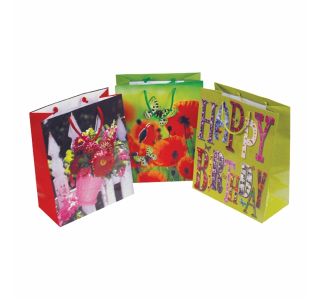 DARILNA VREČKA RED KLASIKA A 4 Z VRVICO 264X136X327 MM