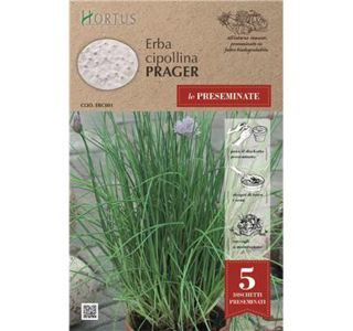 DIŠAVNICA ROYAL SEEDS NA DISKU DROBNJAK DIŠAVNICA ROYAL SEEDS NA DISKU DROBNJAK
