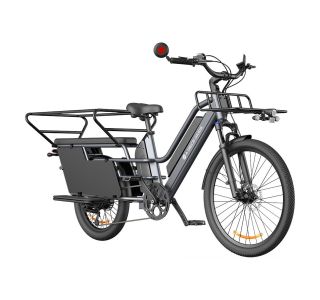 ELEKTRIČNO KOLO A DECE OASIS OASIS 261T TOVORNO E-KOLO Z DVEMA BATERIJAMA, SIV