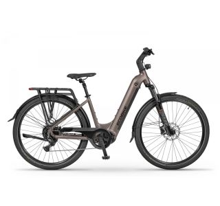 ELEKTRIČNO KOLO ECOBIKE LX300 900WH, L-19