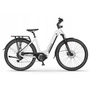 ELEKTRIČNO KOLO ECOBIKE LX300 900WH, M-17