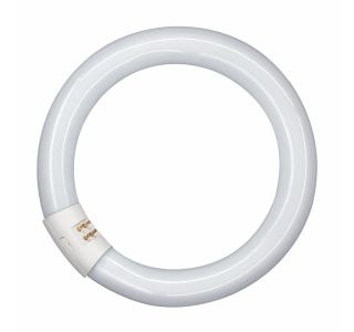 FLUO OKROGLA SIJALKA OSRAM L 32W/840 C G10Q FI 29MM FLUO OKROGLA SIJALKA OSRAM L 32W/840 C G10Q FI 29MM