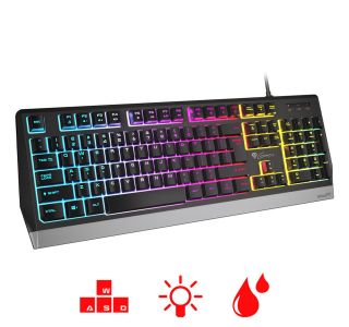 GAMING TIPKOVNICA GENESIS RHOD 300RGB