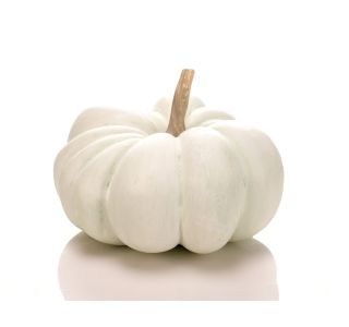 JESENSKA FIGURA GLOSSTYLE BUČA 23.3 CM SV.ZELENA JESENSKA FIGURA GLOSSTYLE BUČA 23.3 CM SV.ZELENA