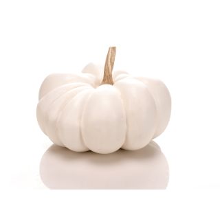 JESENSKA FIGURA GLOSSTYLE BUČA BELA 23.3 CM JESENSKA FIGURA GLOSSTYLE BUČA BELA 23.3 CM