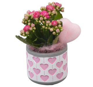 PTVMB2301 ARANŽMA L8 CM