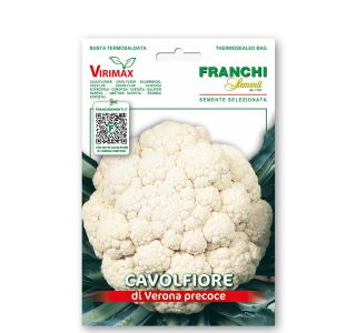 KAPUSNICA FRANCHI SEMENTI CVETAČA VERONA VXO 30/49