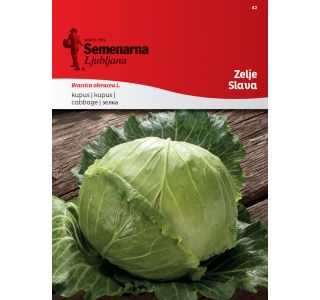 KAPUSNICA SEMENARNA ZELJE SLAVA 42 KAPUSNICA SEMENARNA ZELJE SLAVA 42