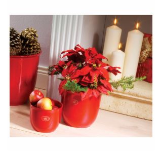 KERAMIČNI NOTRANJI LONEC BRUSELJ 15 CM RDEČ