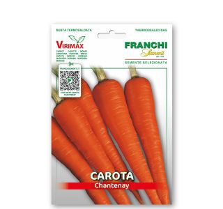 KORENOVKA FRANCHI SEMENTI KORENJE CHANTENAY VXO 23/37 KORENOVKA FRANCHI SEMENTI KORENJE CHANTENAY VXO 23/37