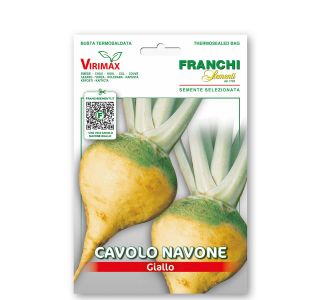 PODZEMNA KOLERABA NAVONE VXO 31/3