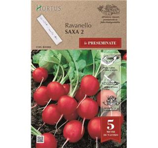 SEME NA TRAKU REDKVICA SAXA (3X1.67M)