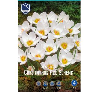 KROKUS ARD SCHENK KROKUS ARD SCHENK