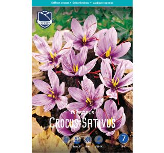 KROKUS SATIVUS (PRAVI ŽAFRAN) KROKUS SATIVUS (PRAVI ŽAFRAN)