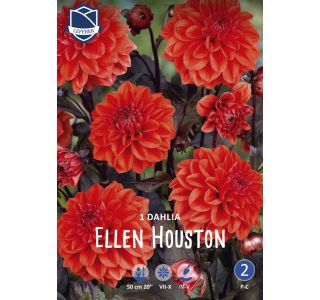 L DALIJA ELLEN HOUSTON