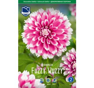 L DALIJA FUZZY WUZZY L DALIJA FUZZY WUZZY
