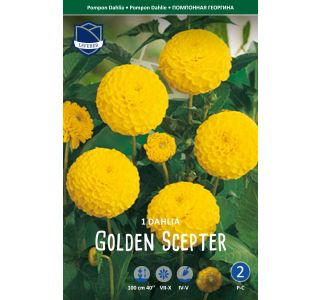 L DALIJA GOLDEN SCEPTER