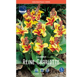 L KANA REINE CHARLOTTE