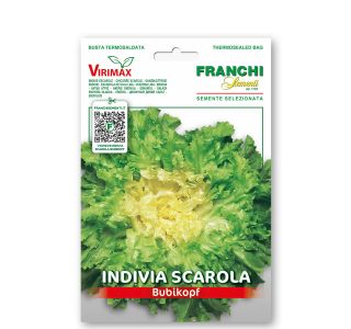 LISTNA ZELENJAVA FRANCHI SEMENTI ENDIVIJA ESKARIOL BUBIKOPF LISTNA ZELENJAVA FRANCHI SEMENTI ENDIVIJA ESKARIOL BUBIKOPF