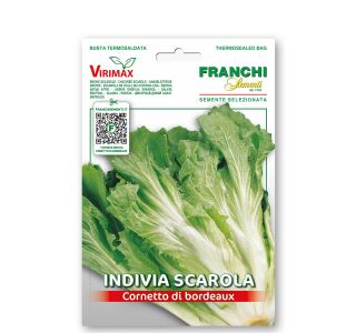 LISTNA ZELENJAVA FRANCHI SEMENTI ENDIVIJA ESKARIOL RUMENA LISTNA ZELENJAVA FRANCHI SEMENTI ENDIVIJA ESKARIOL RUMENA