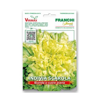 ENDIVIJA SCAROLA BIONDA VXO 121/2