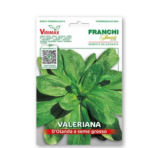 MOTOVILEC HOLANDSKI VXO 140/3