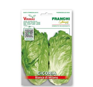 RADIČ : BIANCA DI MILANO VXO 40/3