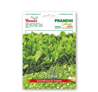 RADIČ TRŽA&Scaron;KI SOLATNIK