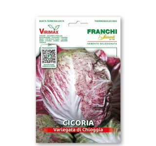 RADIČ VRSTA: CHIOGGIA VXO 40/23