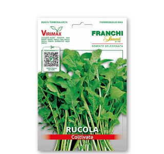 RUKOLA VRSTA: COLTIVATA VXO 115/1