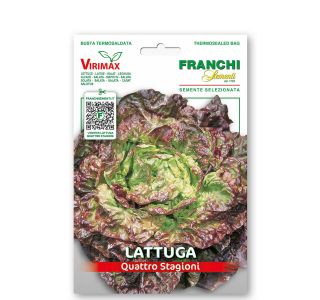 SOLATA  4 LETNI ČASI VXO 79/5