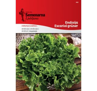 ENDIVIJA ESCARIOL GRUNER 432