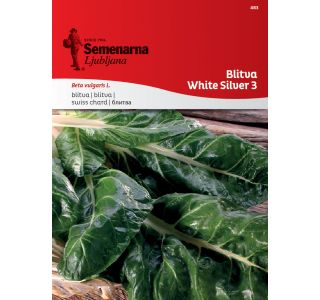 MANGOLD WHITE SILVER3 483