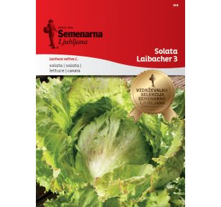 SOLATA LAIBACHER EIS3 358