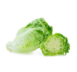LISTNA ZELENJAVA SOLATA COS 9 KOS LISTNA ZELENJAVA SOLATA COS 9 KOS
